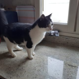 Photo de Eros, le roi des bisounours !