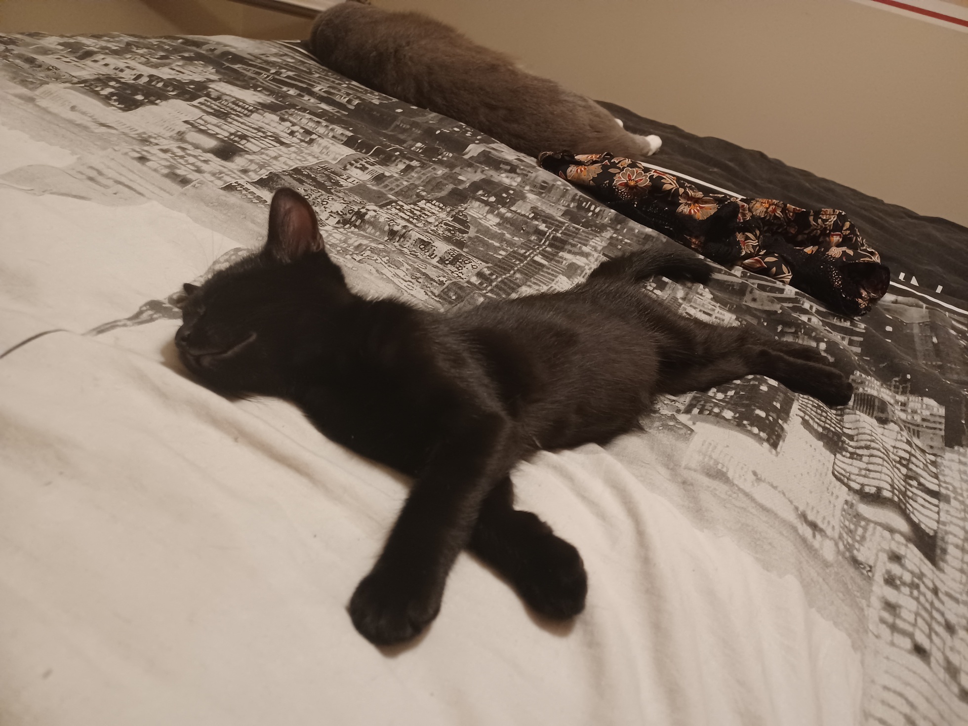 20220802_000442-ConvertImage