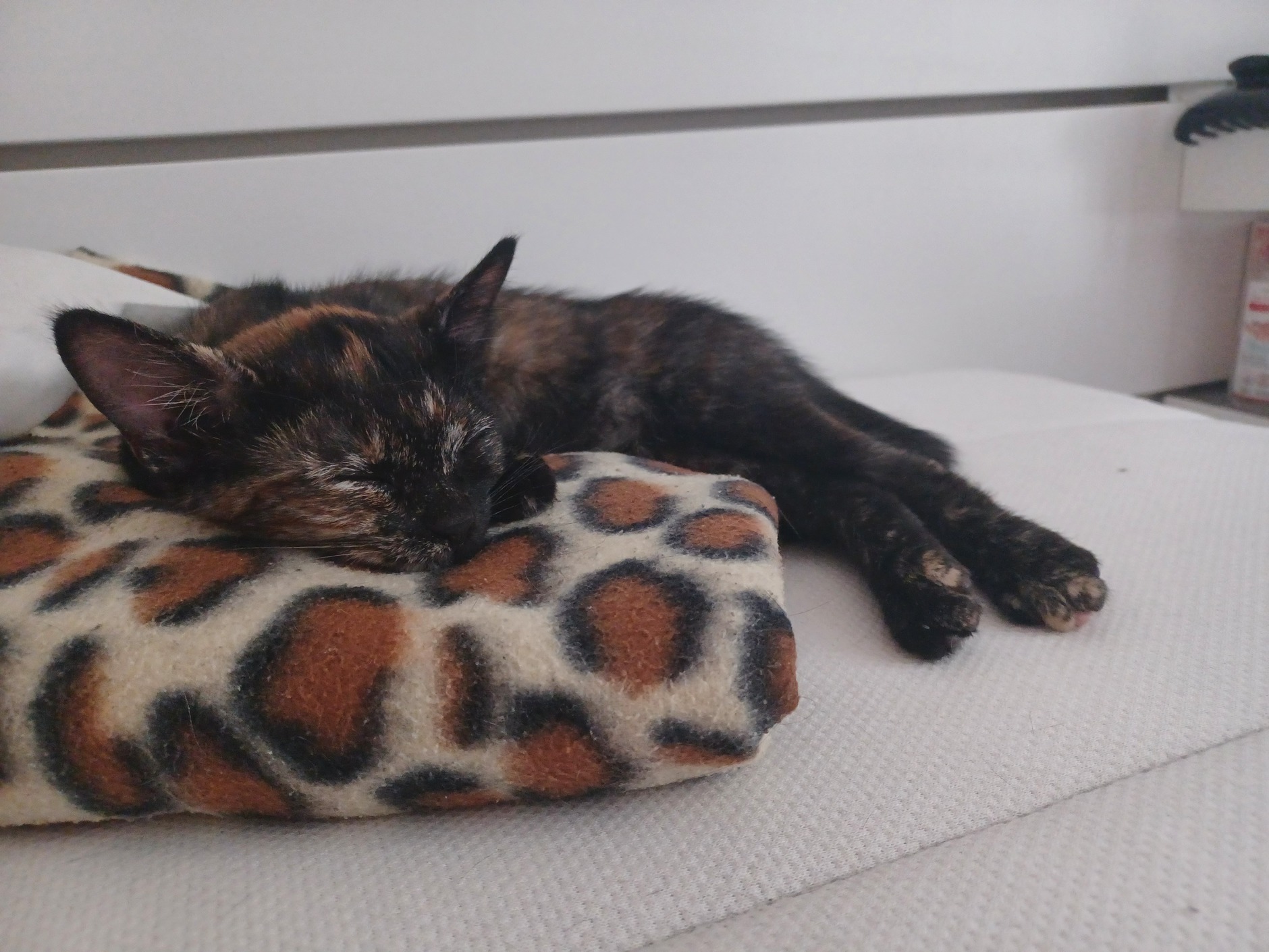 20220803_170033-ConvertImage