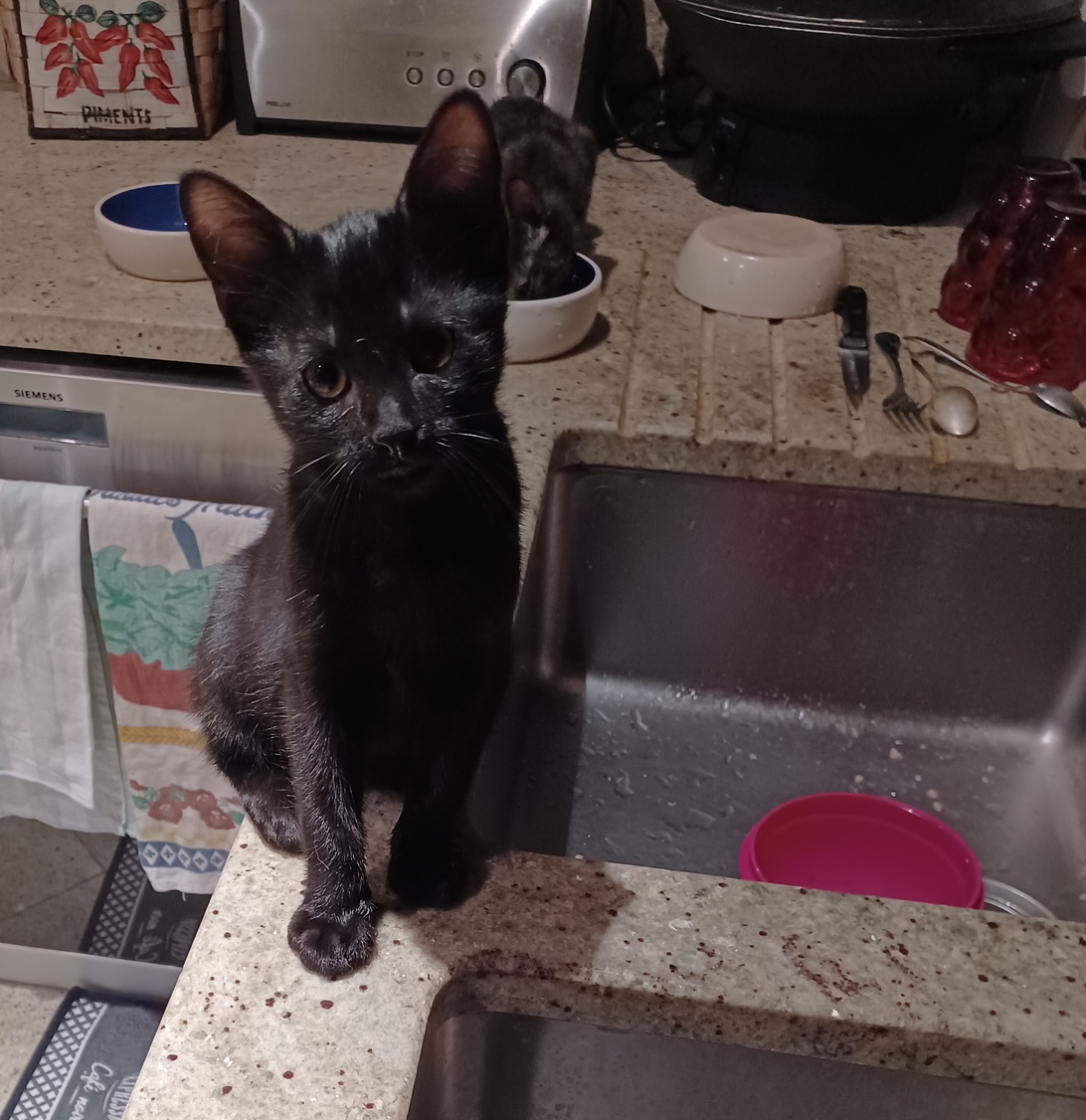 20220808_220155-ConvertImage-1