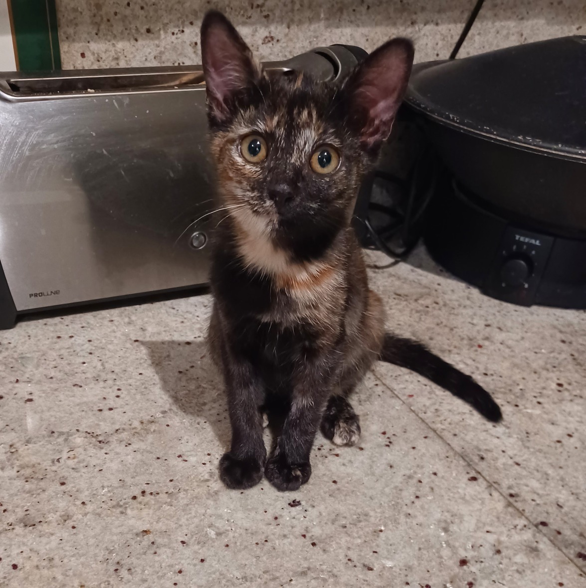 20220808_220418-ConvertImage