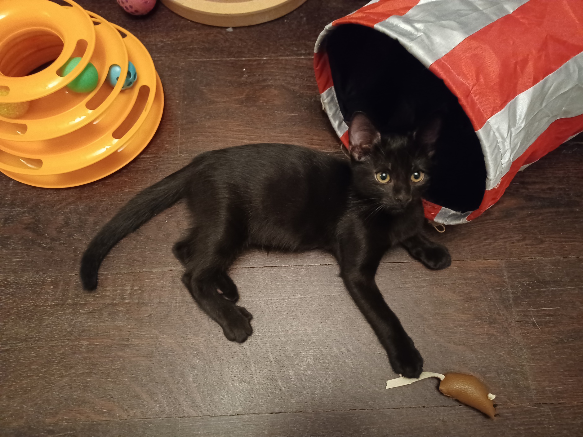 20220808_221052-ConvertImage-1