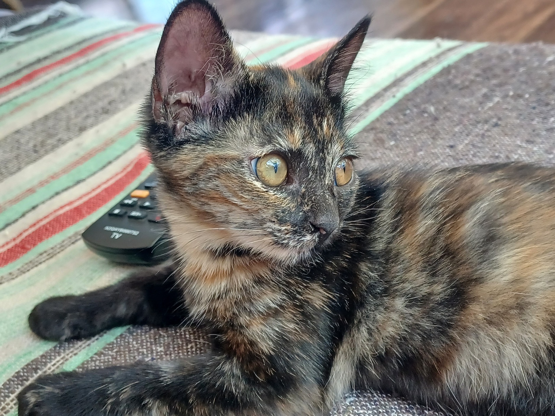 20220809_141412-ConvertImage