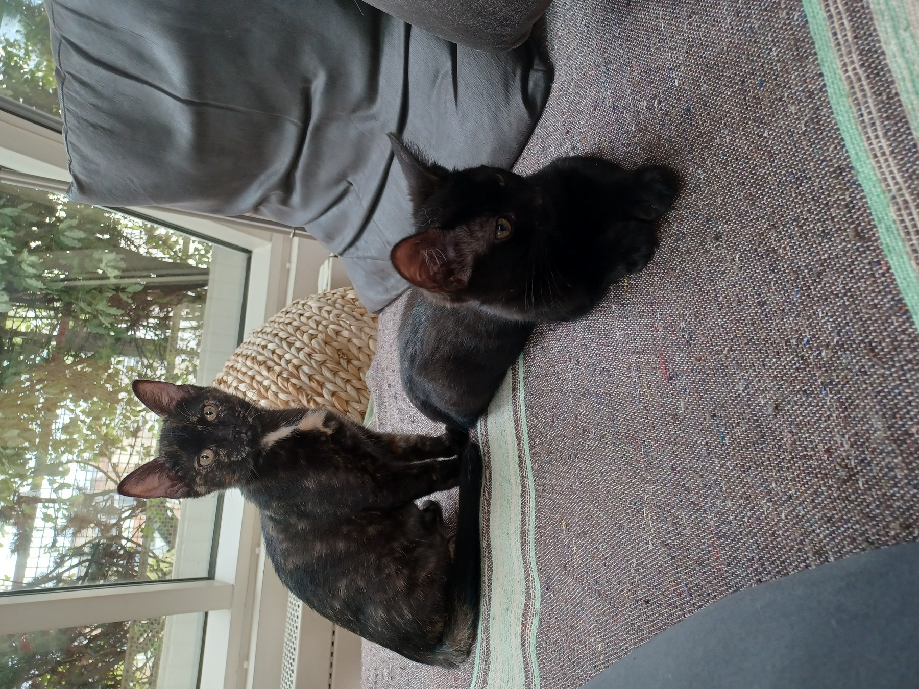 20230808_184013-ConvertImage