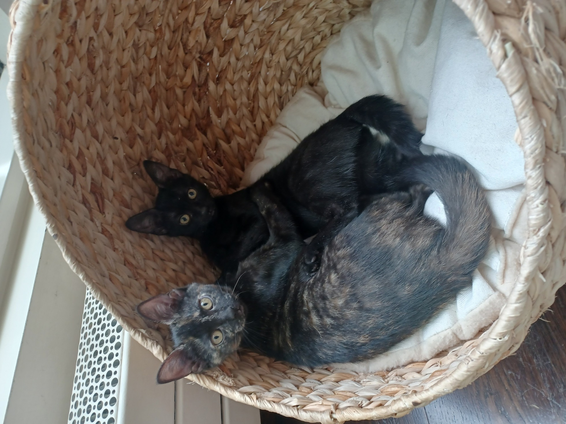 20230810_141314-ConvertImage