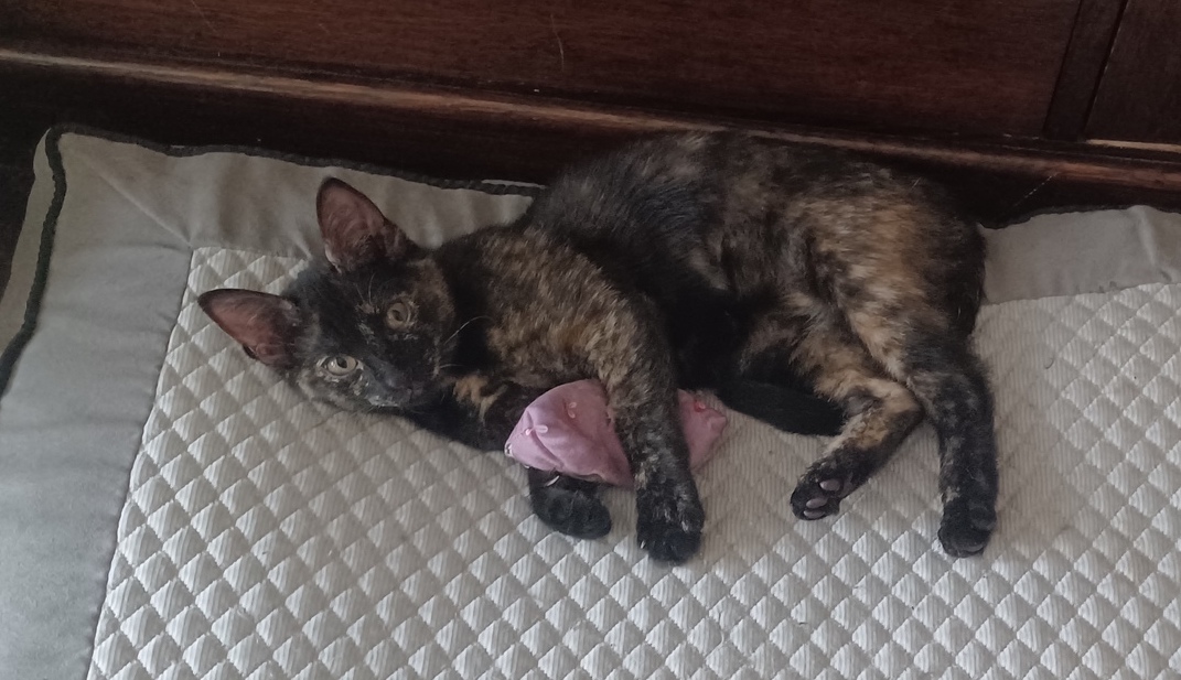 20230811_172254-ConvertImage