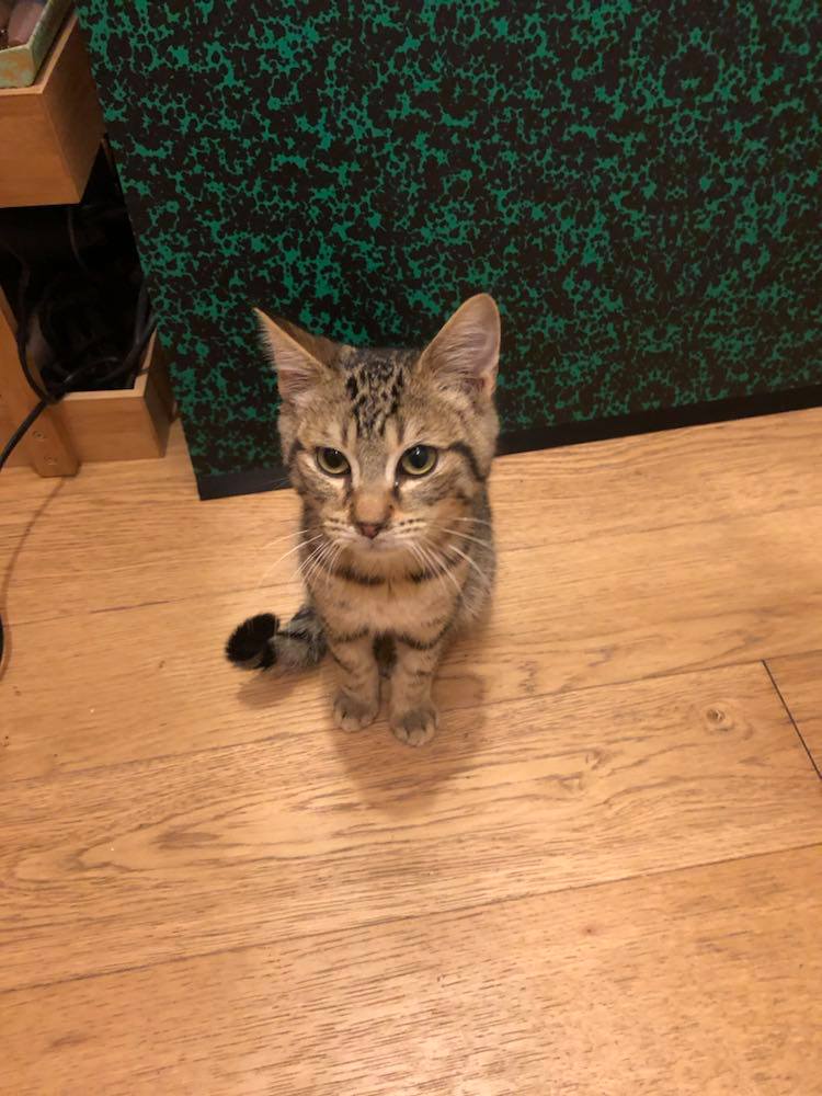 243031373_3910588779041720_6449829201901146461_n