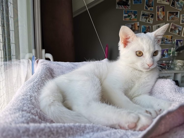 243069133_216153433834896_7268957063859603054_n