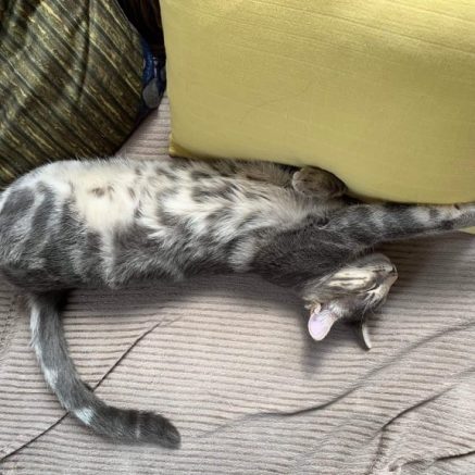 Photo de Moon, un adorable feu follet