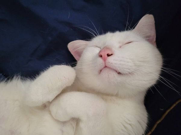 257371522_1585550948448168_5118013116575991275_n