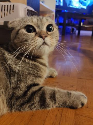 257676428_245284157770937_8764961897236013578_n