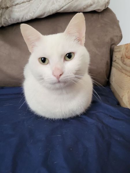 257853434_1585551011781495_2273301361341976077_n