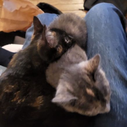 Photo de Seon-Jeon & Shu-Jin, 2 jolies soeurettes inséparables￼