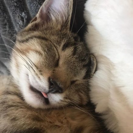 Photo de Henri et Victoria