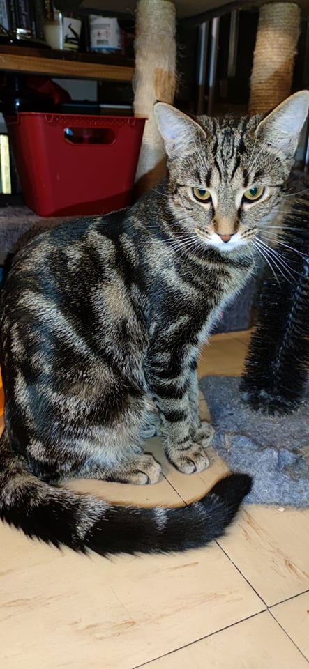 262515616_3194877654060908_403593801792263745_n