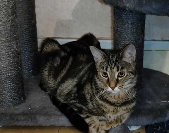 263330635_600473807694323_8576485194896501409_n