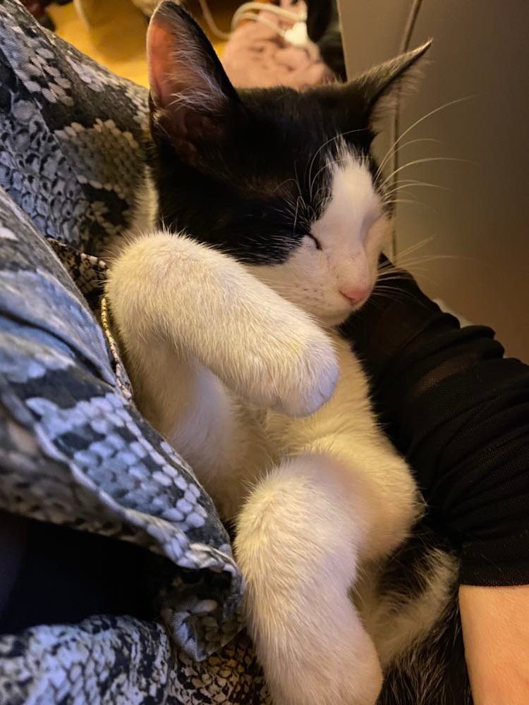 268791844_686610169436532_7755986605553104917_n