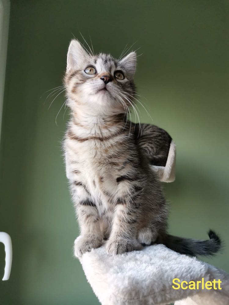 269966617_1068907670345716_418808443700566034_n