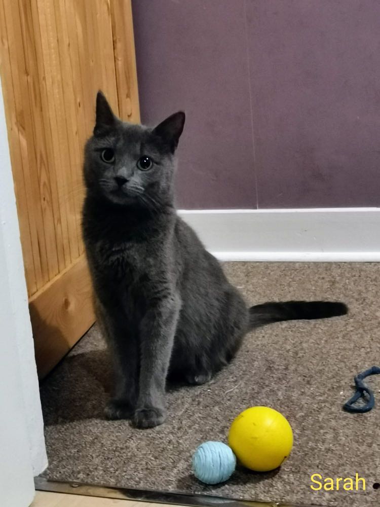 271195907_215238024061112_5067493138297673729_n