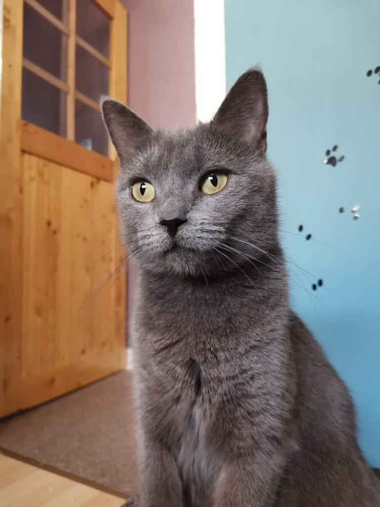 271259511_255740323207079_176810897355691132_n