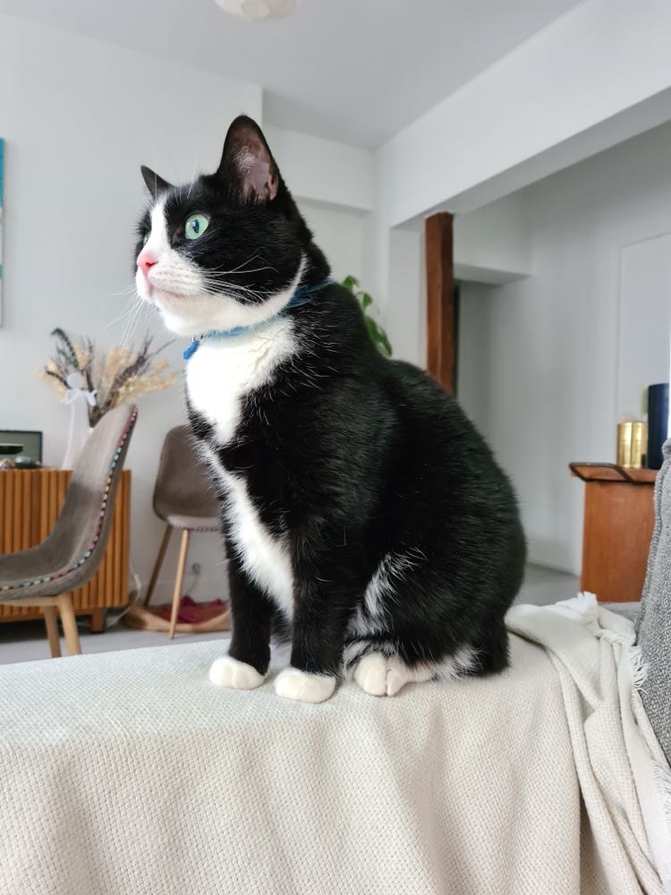 271609867_4731666710249096_4760611644345515724_n