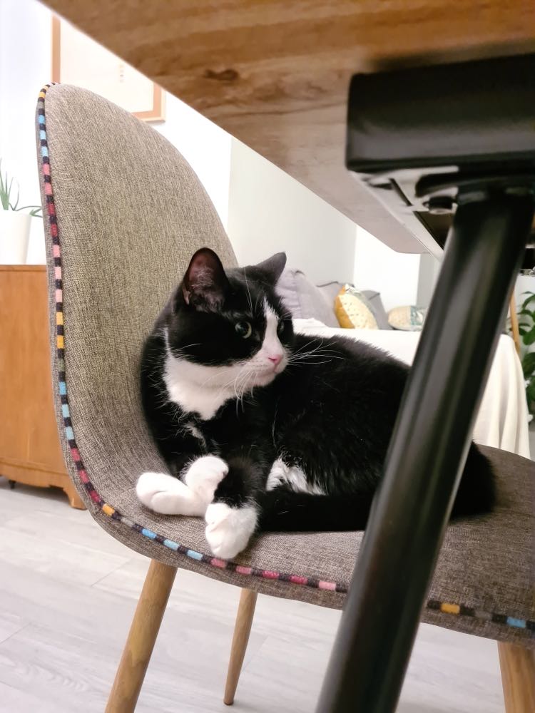 271726889_1041327576429622_5213364238369352490_n