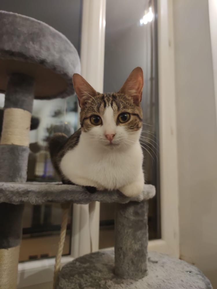 271749158_2103258853160789_2856819292979097835_n