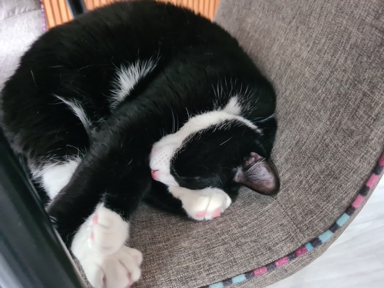 272013592_675647457124835_1240074556636395302_n