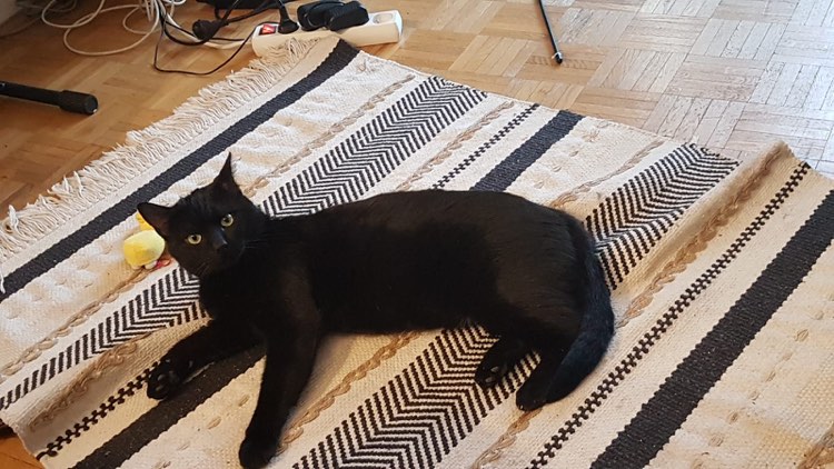 272019500_493433885621509_8420750109975396379_n