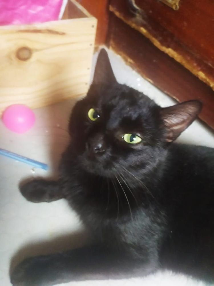 272049495_495027211963849_8616516487830610290_n