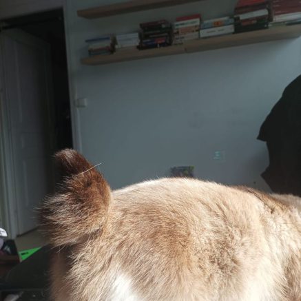 Photo de Rita, aussi douce et calme que jolie