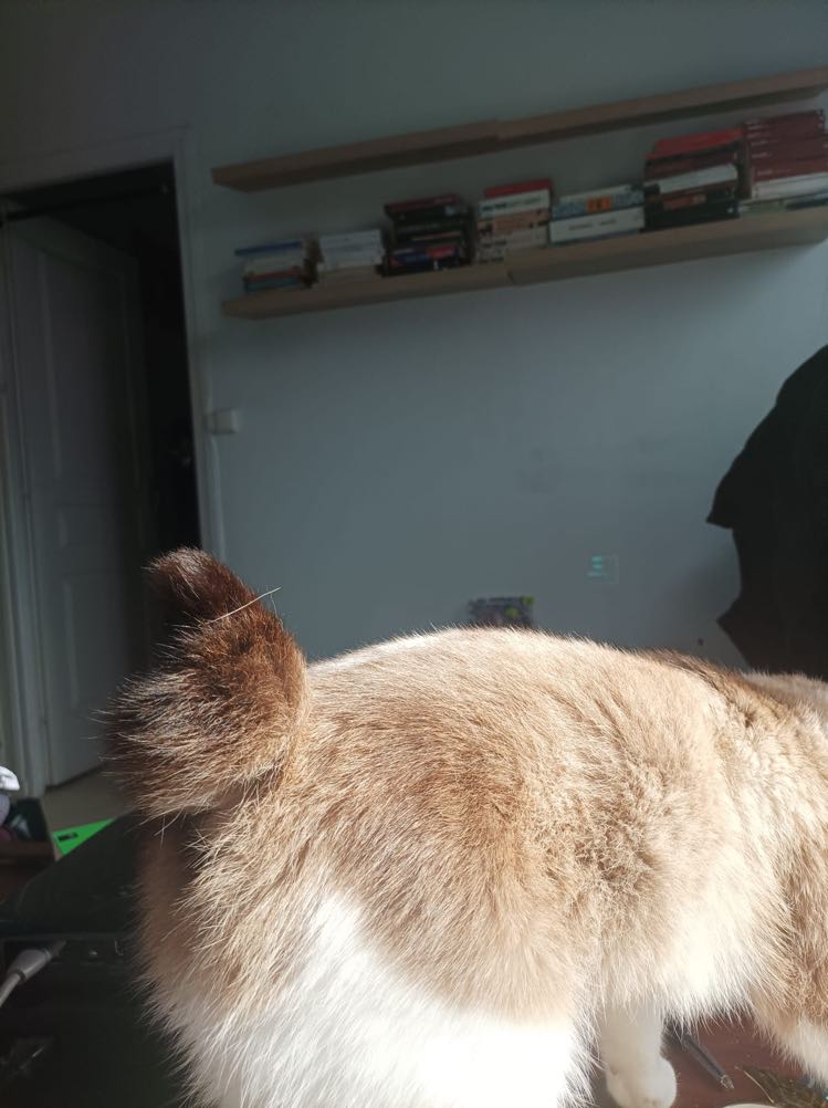 272066188_324180362981534_1748127872302141411_n