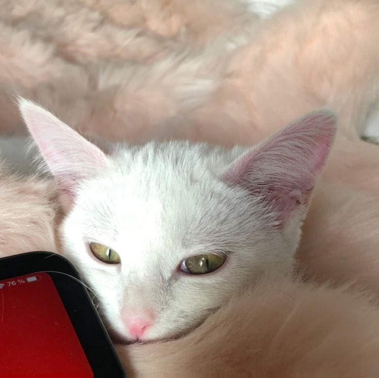 272167030_263302445932901_5986689834576474902_n