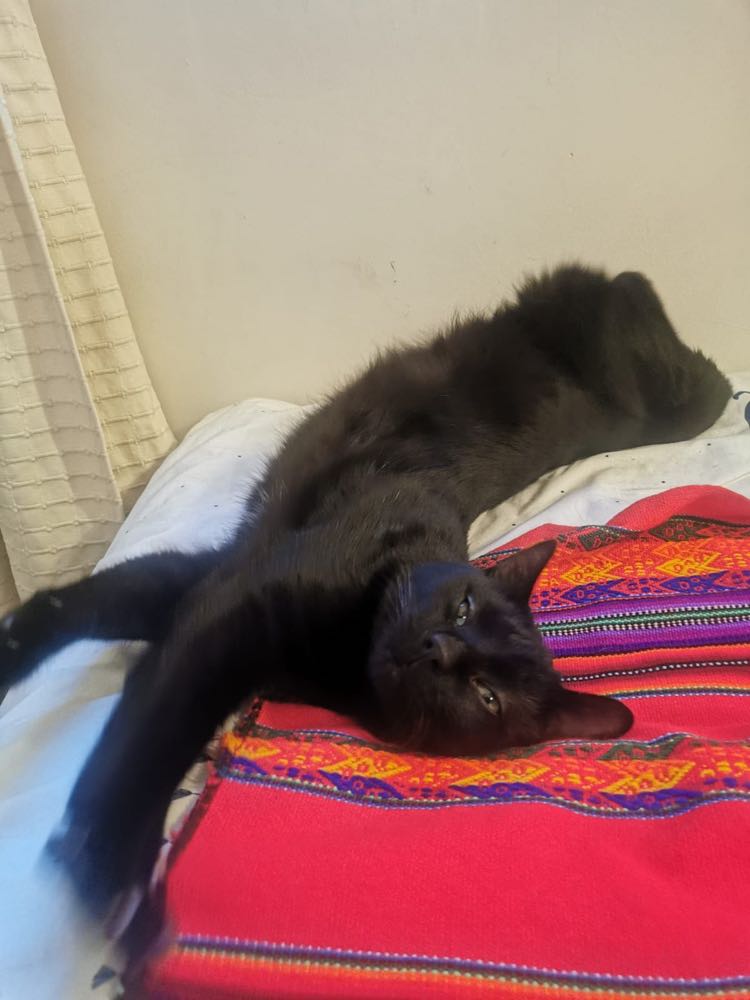 272184001_977363293205662_7314709278169781736_n