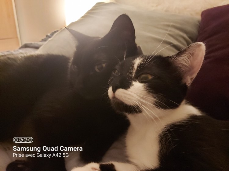 272414787_478204320603584_1562553709465520743_n