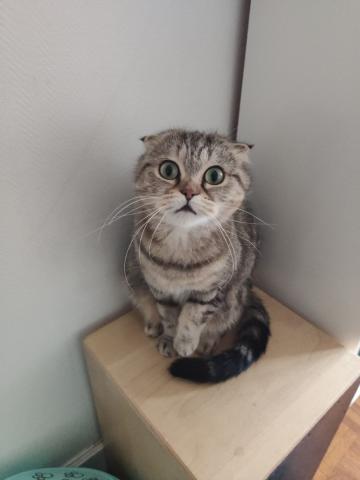 272579960_3050293281903959_8553806806014660554_n