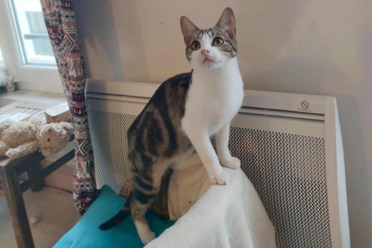 272584940_332071792162121_9036101296613314435_n