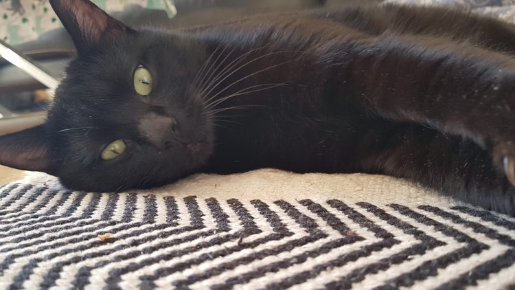 272618527_455225126148615_3045707272133029424_n