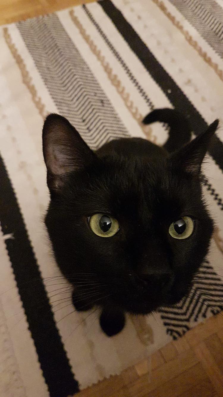 272656053_694514025242155_8604170528399731187_n