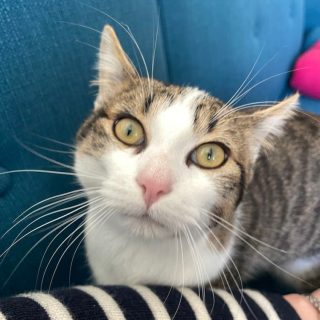 Photo de Pruneau, une vraie pépite ! Un charme fou avec un caractère en or