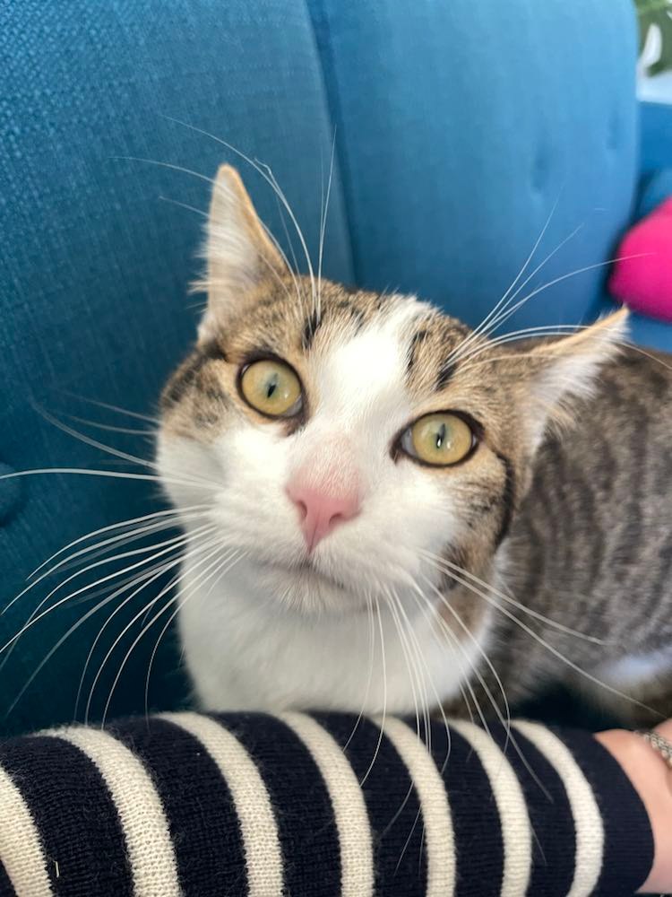 272784774_649301136416673_8343413308205888992_n