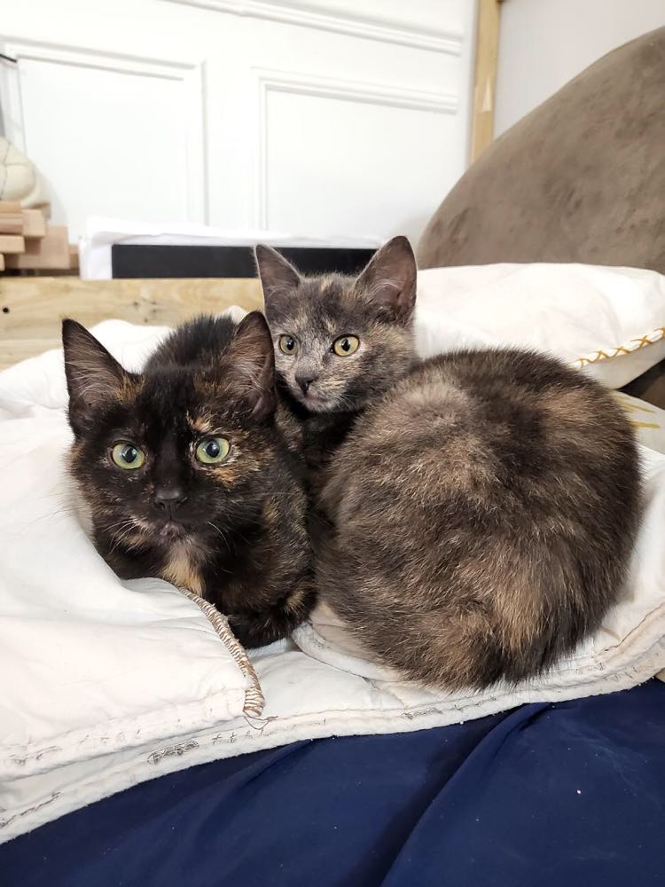 272861092_468176588112552_8664636614618166650_n