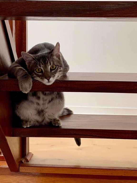 272883996_686467892720481_8911637995473894123_n