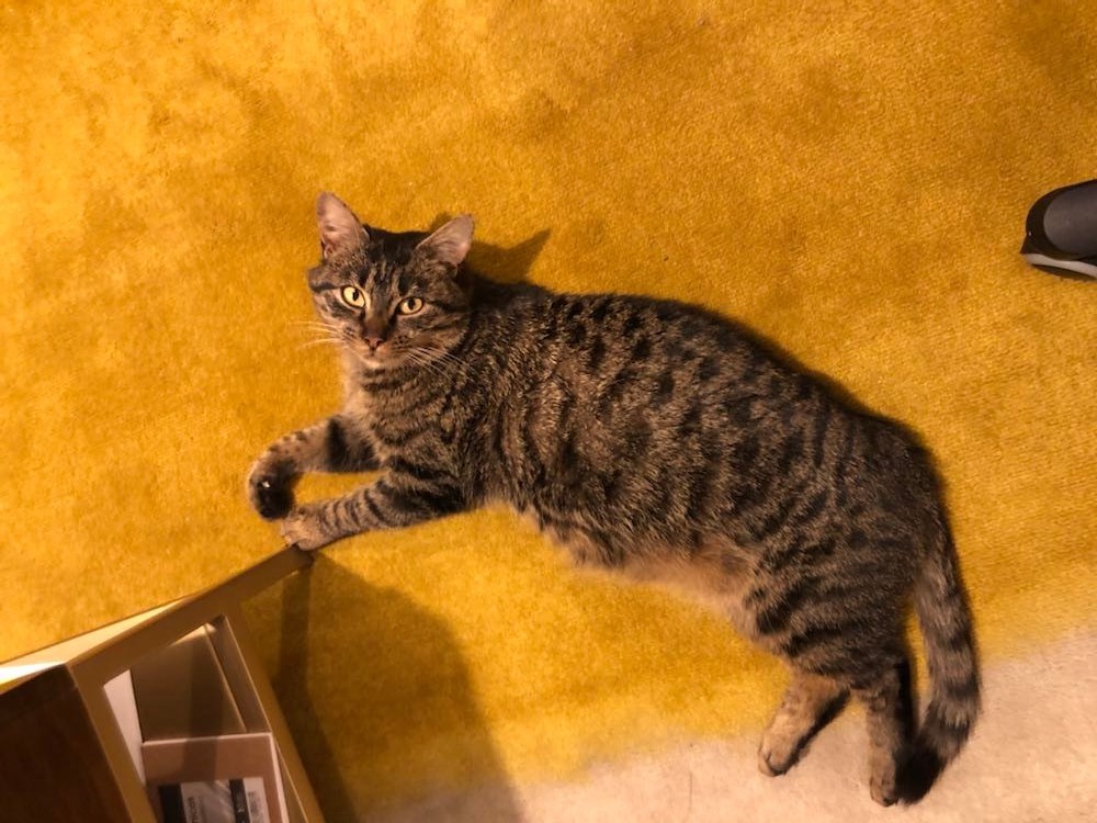 272915047_5291654870868036_2555219343389432022_n