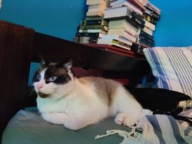 272923377_1064110964148601_185735691681877813_n-1