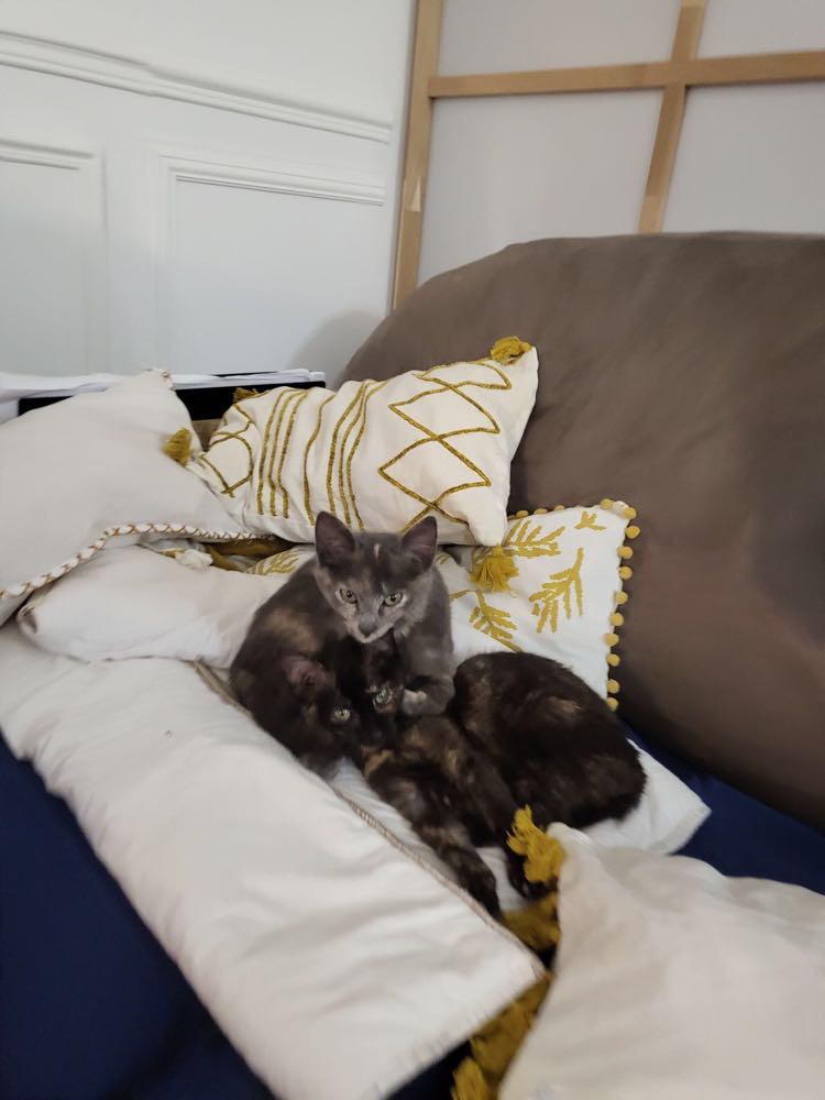 273078797_341101704574155_3793434833095971431_n