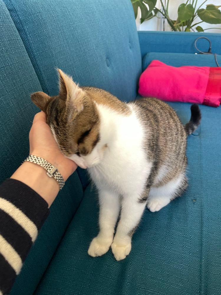 273170204_332203628808536_643555944506435279_n