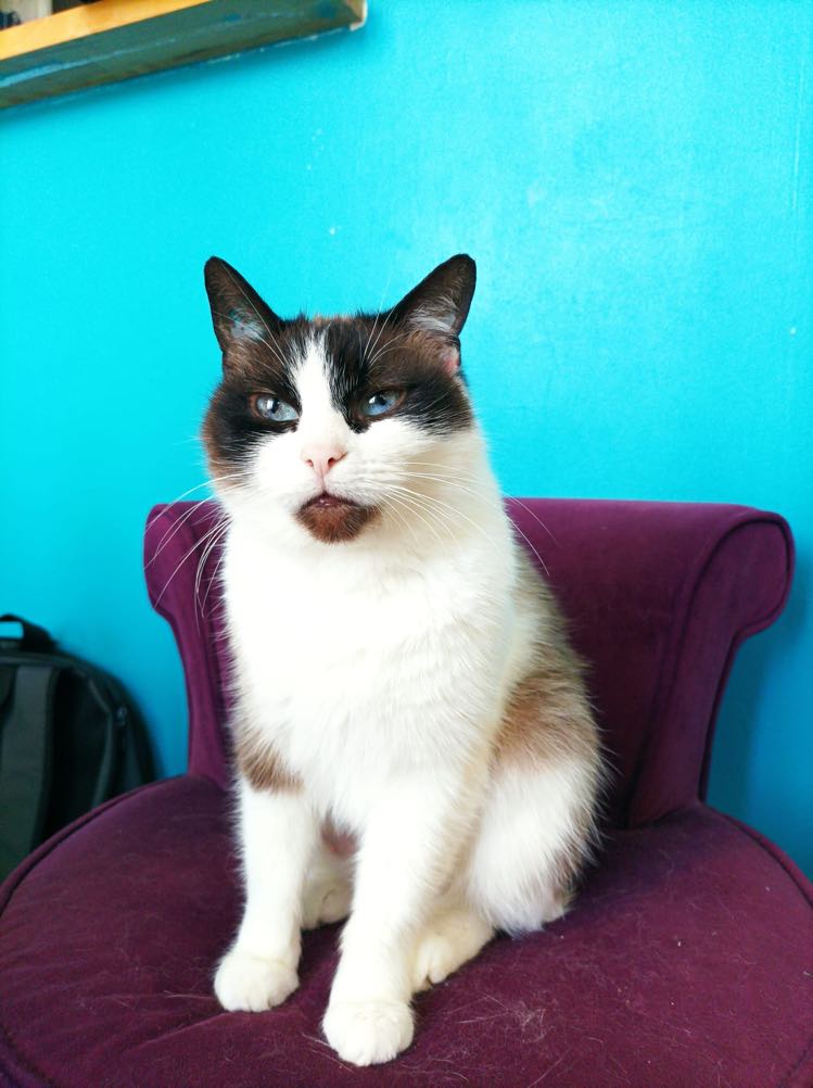 273173377_1135150117232022_664479445886588268_n