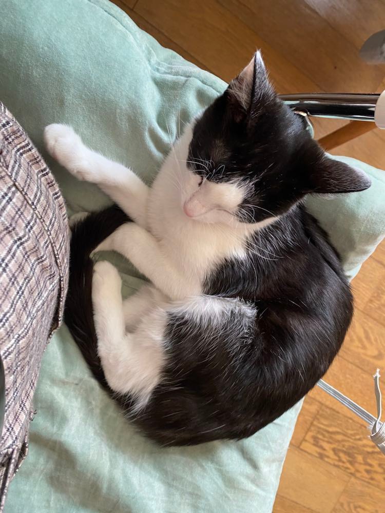 273200363_631603727915086_5799636902606403095_n