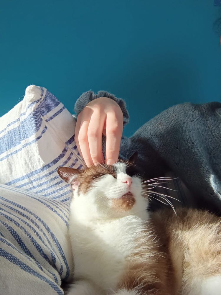 273210447_2415946018548569_6449752008159805773_n